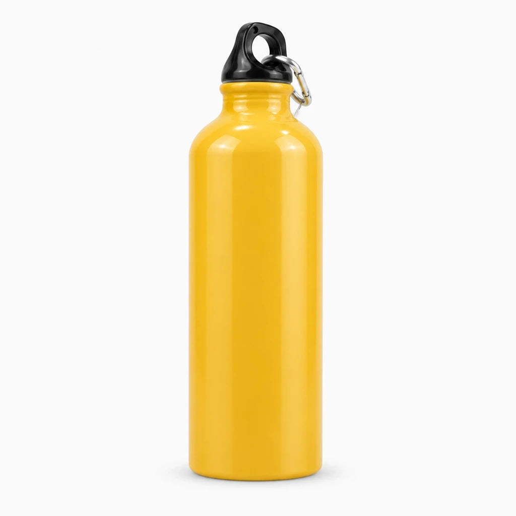 Bouteille 500 ml en aluminium anodisé teinte clair transportable